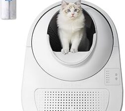 CatLink Auto Young